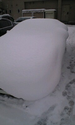 他の国からサーフ雪団子